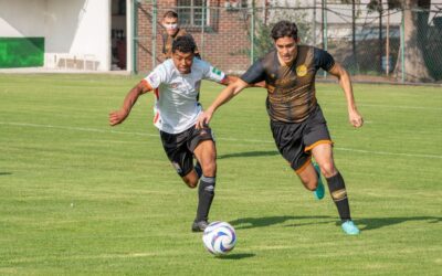 7 Must-Have Men’s Sportswear Items for an Active Lifestyle